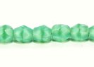 151-19-001 4mm 61310
